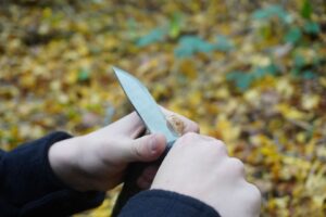 Bild zur Sippenstunde