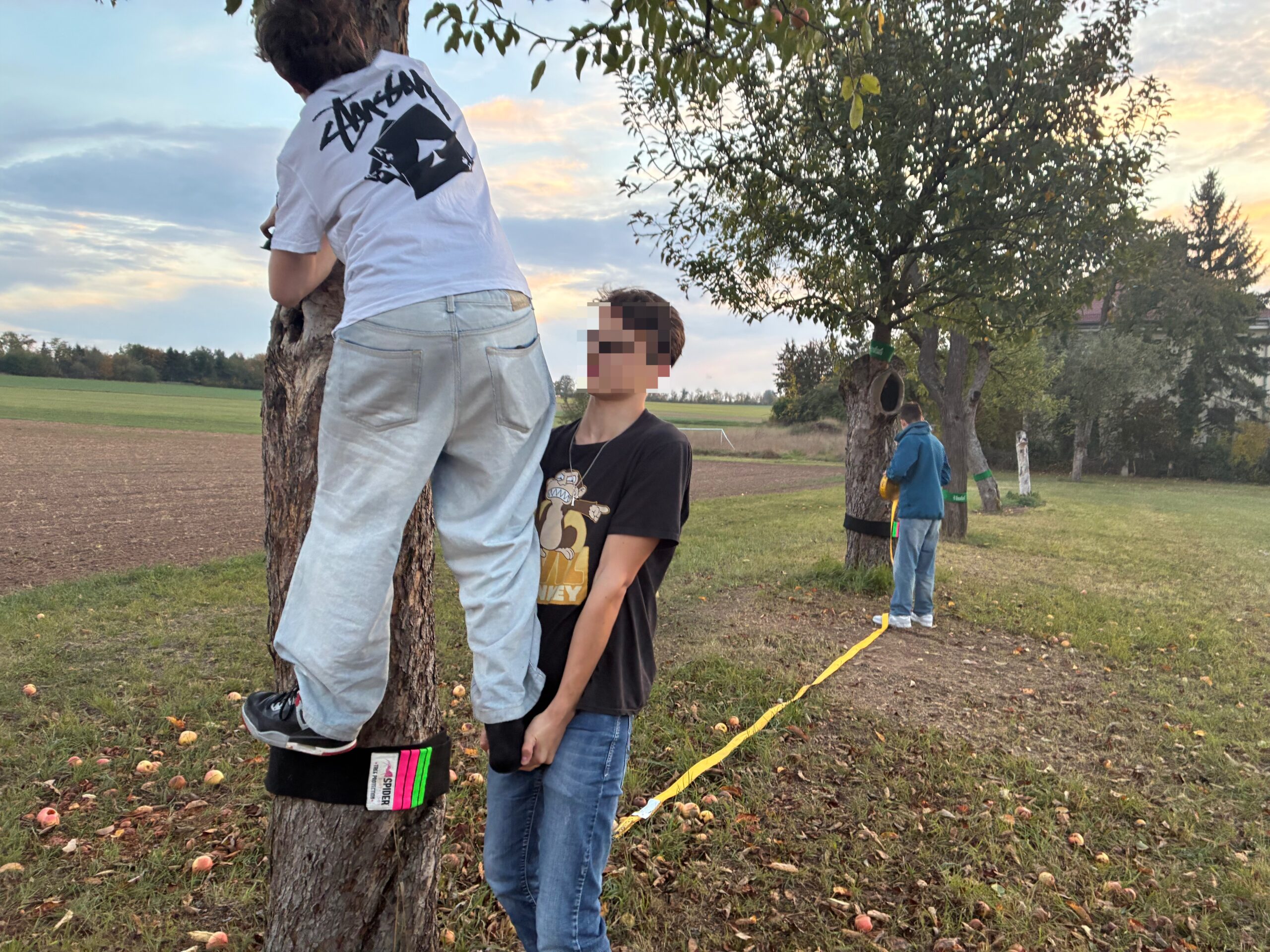 Niedrigseilgarten – Aufbau als Teambuilding